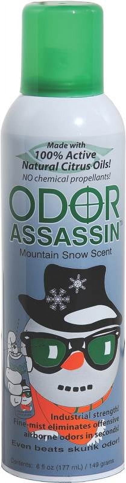 Odor Assassin Convenient Sprays Mountain Snow Scent Odor Control Spray 6 oz Liquid